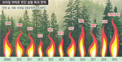 아마존 산불.png